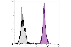 BALB/c mouse splenocytes were stained with Rat Anti-Mouse CD45-BIOT. (CD45 Antikörper  (Biotin))