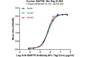 ELISA image for Tumor Necrosis Factor Receptor Superfamily, Member 13C (TNFRSF13C) (AA 7-71) protein (His tag) (ABIN7273910)