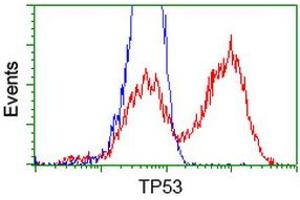 Flow Cytometry (FACS) image for anti-Tumor Protein P53 (TP53) antibody (ABIN1499977) (p53 Antikörper)