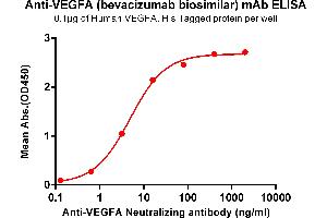 ELISA plate pre-coated by 1 μg/mL (100 μL/well) Human VEGFA , His tagged protein ABIN6964094, ABIN7042443 and ABIN7042444 can bind Anti-VEGFA Neutralizing antibody (ABIN7093077 and ABIN7272607) in a linear range of 0. (Rekombinanter VEGF (Bevacizumab Biosimilar) Antikörper)