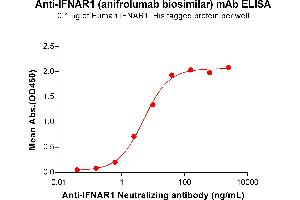 ELISA image for anti-IFNAR1 (Anifrolumab Biosimilar) antibody (ABIN7490965)