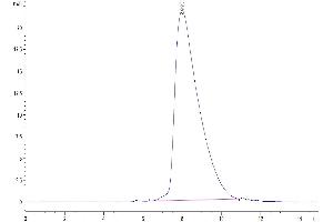 Size-exclusion chromatography-High Pressure Liquid Chromatography (SEC-HPLC) image for Fc Fragment of IgE Receptor Ia (FCER1A) (AA 26-205) protein (Fc Tag) (ABIN7274608)