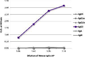 ELISA plate was coated with Goat Anti-Mouse IgG1, Human ads-UNLB was captured and quantified. (Maus IgG3 isotype control (Alkaline Phosphatase (AP)))