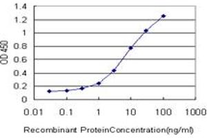 Detection limit for recombinant GST tagged SPP1 is approximately 0. (Osteopontin Antikörper  (AA 1-300))