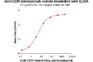 ELISA plate pre-coated by 2 μg/mL (100 μL/well) Human CD30, His tagged protein ABIN6961166, ABIN7042361 and ABIN7042362 can bind Anti-CD30 Neutralizing antibody in a linear range of 0. (Rekombinanter TNFRSF8 (Brentuximab Biosimilar) Antikörper)