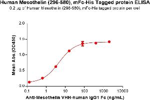 ELISA plate pre-coated by 2 μg/mL (100 μL/well)Human Mesothelin (296-580) Protein, mFc-His Tag (ABIN6961104, ABIN7042237 and ABIN7042238) can bind Anti-Mesothelin VHH-human IgG1 Fc in a linear range of 0. (Mesothelin Protein (MSLN) (AA 296-580) (mFc-His Tag))
