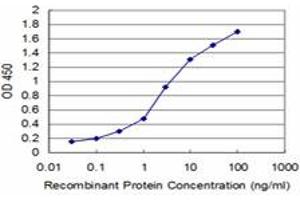 Detection limit for recombinant GST tagged HEY1 is approximately 0. (HEY1 Antikörper  (AA 121-220))