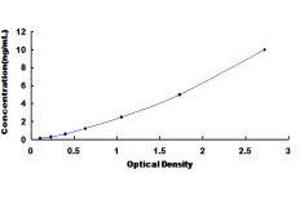 ELISA image for Neuropeptide Y Receptor Y2 (NPY2R) ELISA Kit (ABIN435800) (NPY2R ELISA Kit)