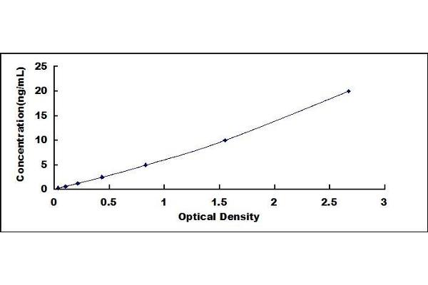 RBM20 ELISA Kit