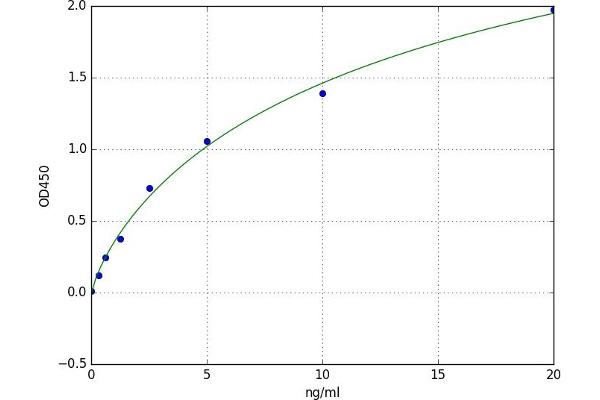 CPOX ELISA Kit