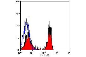 Flow Cytometry (FACS) image for anti-Signal-Regulatory Protein alpha (SIRPA) antibody (ABIN2478796) (SIRPA Antikörper)