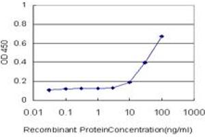 Detection limit for recombinant GST tagged BARHL1 is approximately 1ng/ml as a capture antibody. (BARHL1 Antikörper  (AA 55-154))