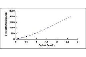 ELISA image for Bone Morphogenetic Protein 4 (BMP4) ELISA Kit (ABIN414358) (BMP4 ELISA Kit)