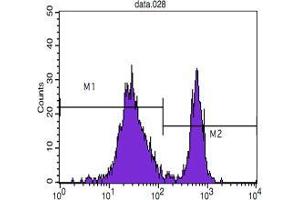 Flow cytometric analysis of blood T cells using CD4 mouse mAb (M2) and negative control (M1). (CD4 Antikörper)