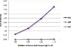 ELISA plate was coated with purified human IgG, IgM, and IgA. (Maus anti-Human IgG (Fc Region) Antikörper (Alkaline Phosphatase (AP)))