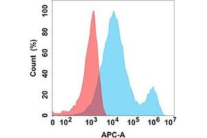 Flow cytometry analysis with Anti-LIGHT (DM170) on Expi293 cells transfected with human LIGHT (Blue histogram) or Expi293 transfected with irrelevant protein (Red histogram). (TNFSF14 Antikörper  (AA 99-330))