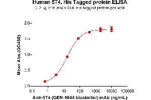 ELISA plate pre-coated by 2 μg/mL (100 μL/well) Human 5T4 Protein, His Tag (ABIN6964086, ABIN7042427 and ABIN7042428) can bind Anti-5T4 (GEN-1044 biosimilar) mAb in a linear range of 0. (TPBG Protein (AA 32-355) (His tag))