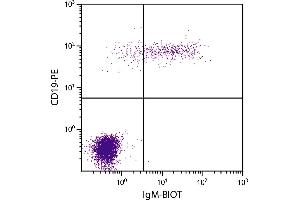 Human peripheral blood lymphocytes were stained with Mouse Anti-Human IgM-BIOT. (Maus anti-Human IgM Antikörper (Biotin))