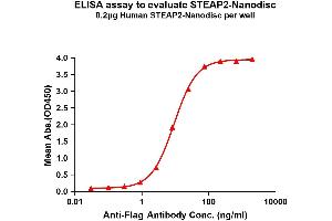 Elisa plates were pre-coated with Flag Tag ST-Nanodisc (0. (STEAP2 Protein)