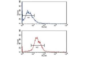 Flow cytometric analysis of MCF-7 cells using KLF4 antibody (bottom histogram) compared to a negative control (top histogram). (KLF4 Antikörper)