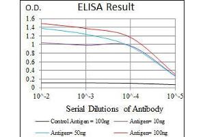 ELISA image for anti-Sex Determining Region Y (SRY) (AA 1-204) antibody (ABIN1098106)