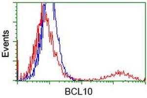 HEK293T cells transfected with either RC208752 overexpress plasmid (Red) or empty vector control plasmid (Blue) were immunostained by anti-BCL10 antibody (ABIN2454087), and then analyzed by flow cytometry. (BCL10 Antikörper)