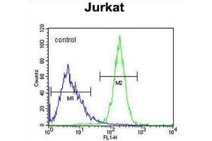 Flow Cytometry (FACS) image for anti-CWC22 Spliceosome-Associated Protein Homolog (CWC22) antibody (ABIN2995841) (CWC22 Antikörper)