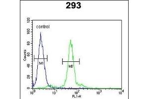 LOX Antibody (Center) (ABIN653071 and ABIN2842672) flow cytometric analysis of 293 cells (right histogram) compared to a negative control cell (left histogram). (LOX Antikörper  (AA 234-260))