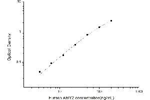 AMY2 ELISA Kit