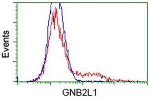 HEK293T cells transfected with either RC205092 overexpress plasmid (Red) or empty vector control plasmid (Blue) were immunostained by anti-GNB2L1 antibody (ABIN2454454), and then analyzed by flow cytometry. (GNB2L1 Antikörper)