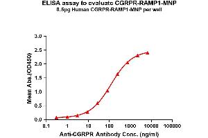 Elisa plates were pre-coated with 0. (CALCRL Protein)