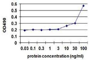 Sandwich ELISA detection sensitivity ranging from 10 ng/ml to 100 ng/ml. (MYOC (Human) Matched Antibody Pair)
