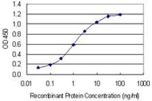 Detection limit for recombinant GST tagged TFEB is 0. (TFEB Antikörper  (AA 1-476))