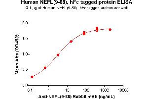 ELISA plate pre-coated by 1 μg/mL (100 μL/well) Human NEFL (9-88) Protein, hFc Tag (ABIN7092809, ABIN7272428 and ABIN7272429) can bind Anti-NEFL(9-88) antibody(DM198), Rabbit mAb ABIN7455261, ABIN7490480 and ABIN7490481 in a linear range of 0. (NEFL Protein (AA 9-88) (Fc Tag))