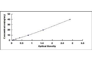 Typical standard curve (G Protein Coupled Receptor 131 ELISA Kit)