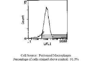 Mouse anti OX-43 Antigen OX-43 (Endothelium Antikörper (Biotin))