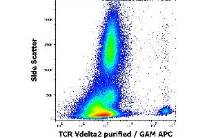 Flow cytometry surface staining pattern of human peripheral whole blood stained using anti-human TCR Vdelta2 (B6) purified antibody (concentration in sample 0,3 μg/mL, GAM APC). (TCR, V delta 2 Antikörper)