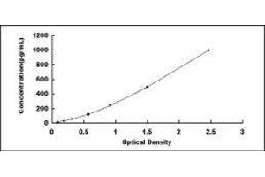 ELISA image for Urocortin (UCN) ELISA Kit (ABIN415735) (Urocortin ELISA Kit)