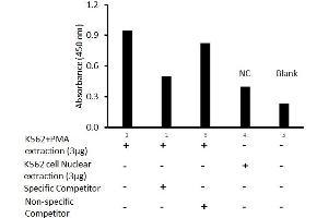 Activity Assay (AcA) image for FBJ Murine Osteosarcoma Viral Oncogene Homolog B (FOSB) ELISA Kit (ABIN5526694)