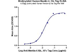 ELISA image for Poliovirus Receptor-Related 4 (PVRL4) (AA 32-351) protein (His-Avi Tag,Biotin) (ABIN7275314)