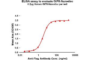 Elisa plates were pre-coated with Flag Tag GIPR-Nanodisc (0. (GIPR Protein)