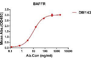 ELISA plate pre-coated by 1 μg/mL (100 μL/well) Human BAFFR protein, mFc tagged protein ABIN6961114, ABIN7042257 and ABIN7042258 can bind Rabbit anti-BAFFR monoclonal antibody (clone: DM143) in a linear range of 0. (TNFRSF13C Antikörper  (AA 7-71))