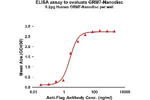 Elisa plates were pre-coated with Flag Tag -Nanodisc (0. (GRM7 Protein)