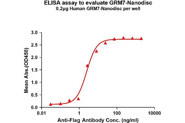 GRM7 Protein