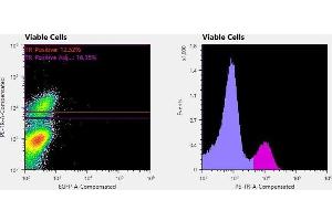 Flowcytometry of huSSECTM cell line overexpressing hFcRn-EGFP labeled with clone ADM31  primary Ab and Texas Red™ conjugated anti-mouse secondary. (FcRn Antikörper)