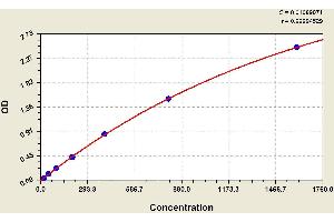 ELISA image for Coagulation Factor XIII (F13) ELISA Kit (ABIN1114224) (Factor XIII ELISA Kit)