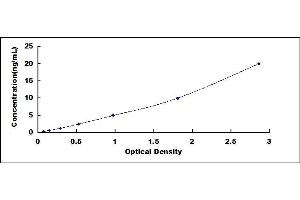 Typical standard curve (CACNA1D ELISA Kit)