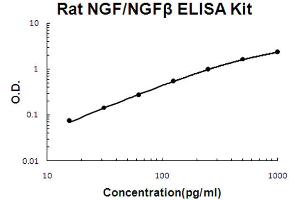 Rat NGF/NGF beta Accusignal ELISA Kit Rat NGF/NGF beta AccuSignal ELISA Kit standard curve. (NGFB ELISA Kit)