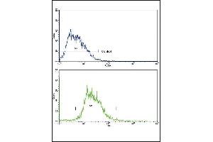 Flow cytometric analysis of HepG2 cells using SOX9 Antibody (Center)(bottom histogram) compared to a negative control cell (top histogram). (SOX9 Antikörper  (AA 231-260))