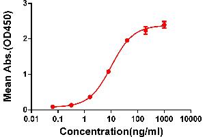 ELISA plate pre-coated by 2 μg/mL (100 μL/well) Human C protein, mFc-His tagged protein ABIN6961090, ABIN7042209 and ABIN7042210 can bind Rabbit anti-C monoclonal antibody (clone: DM50) in a linear range of 1-100 ng/mL. (Rekombinanter CTLA4 Antikörper  (AA 36-161))